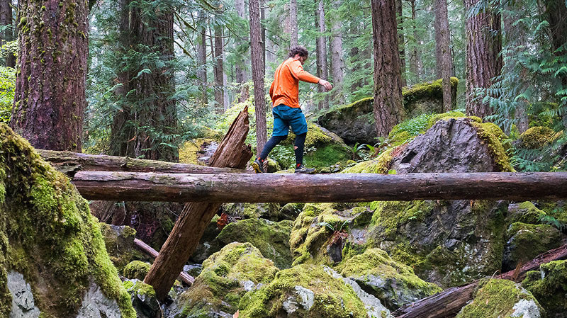 Синрин-йоку — полный дзен
