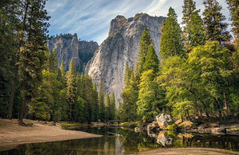 Синрин-йоку — лесное купание