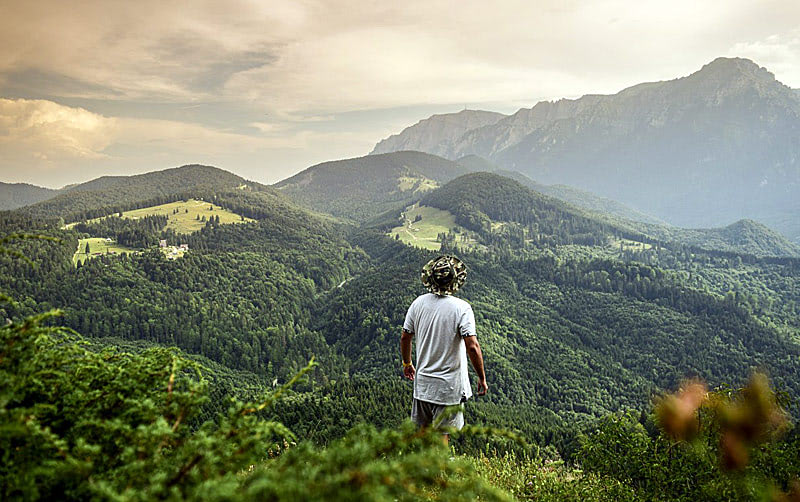 Синрин-йоку — лесные ванны
