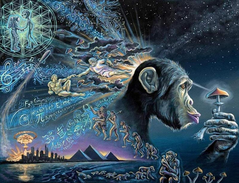 Причины измененных состояний сознания