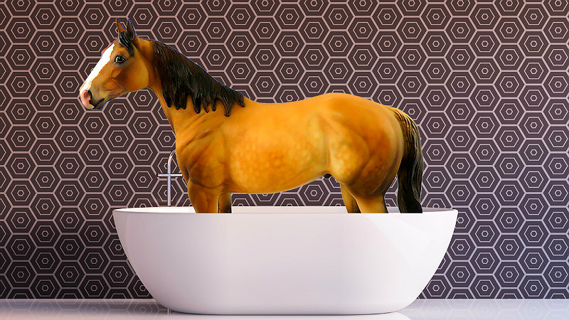 Англия законы странные