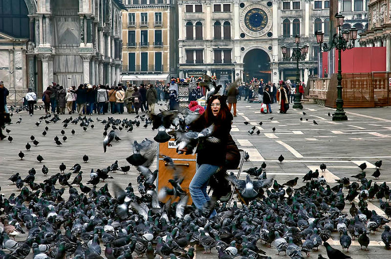 Италия и странные законы