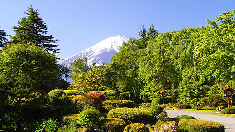 Страшное место планеты — Фудзияма