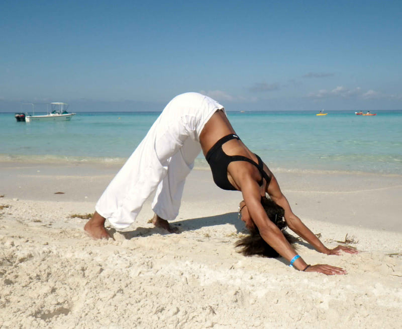 Сурья Намаскар — Адхо Мукха Шванасана