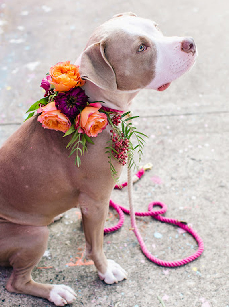 Свадьба для богемы