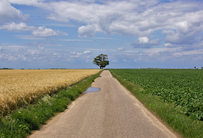 Пути Темной ночи души