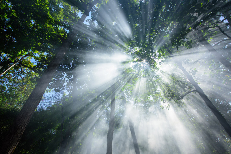 Темная ночь души не навсегда