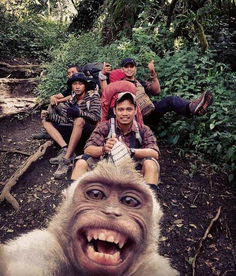 Тренд путешествий — отключенный телефон