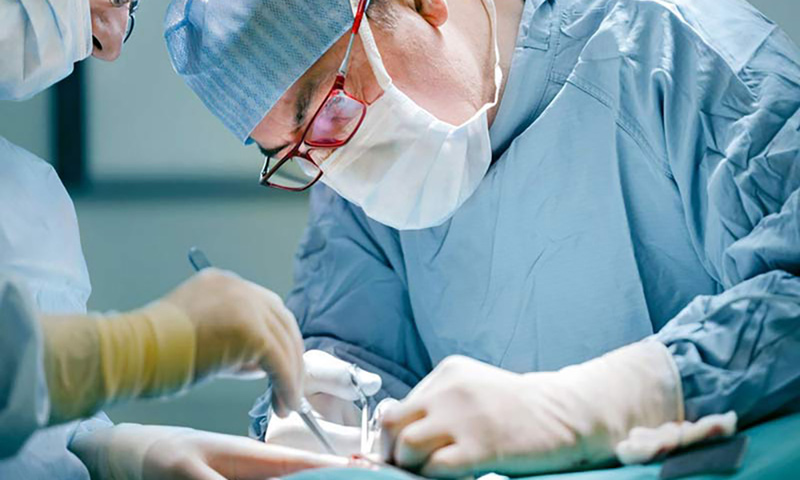 Тип дхармы Воин — призвание