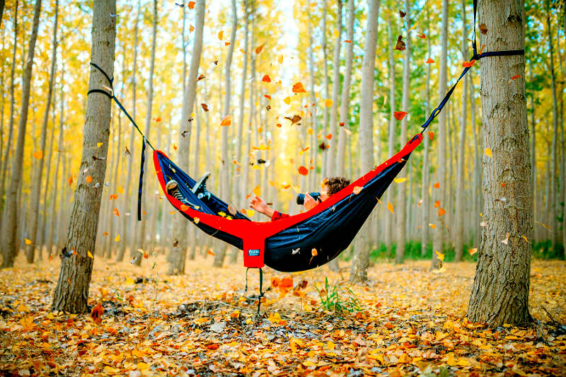 Отдых в 2019 года