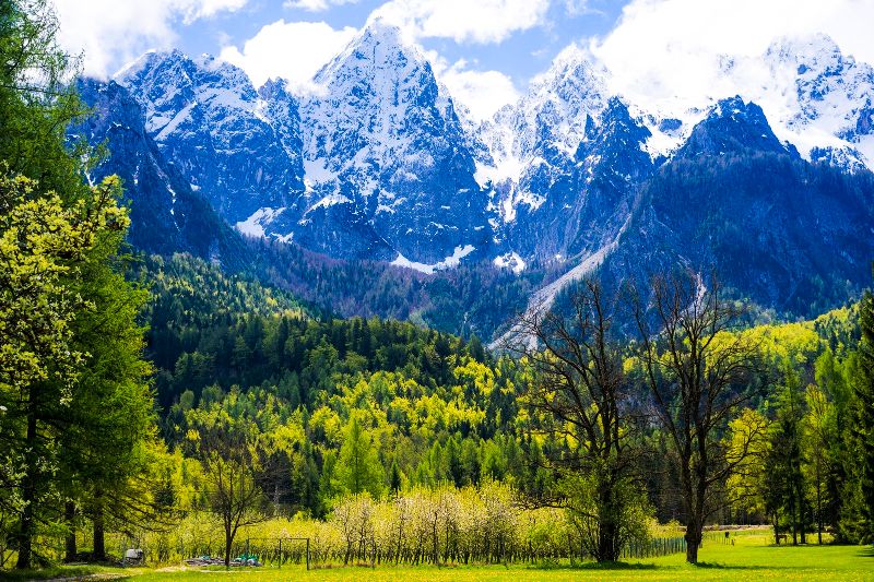 Трезубец и сила гор