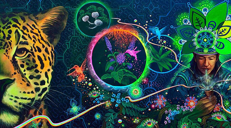 Аяхуаска церемония