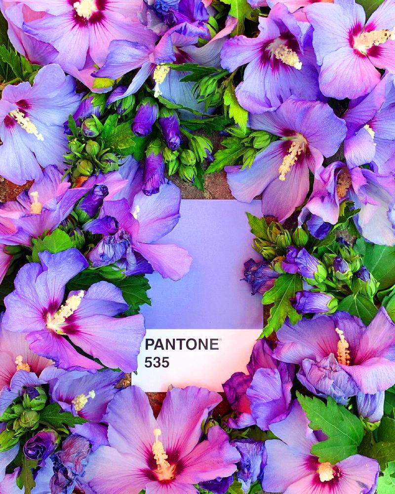 Одежда и тренды весна лето 2021