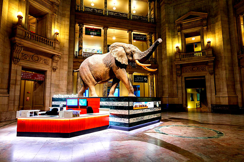 Онлайн музеи Вашингтона