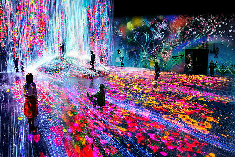 Жизнь в мире матрицы