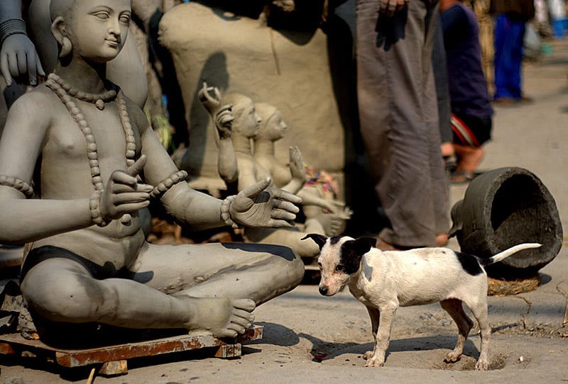 Книга мудрости — Веды