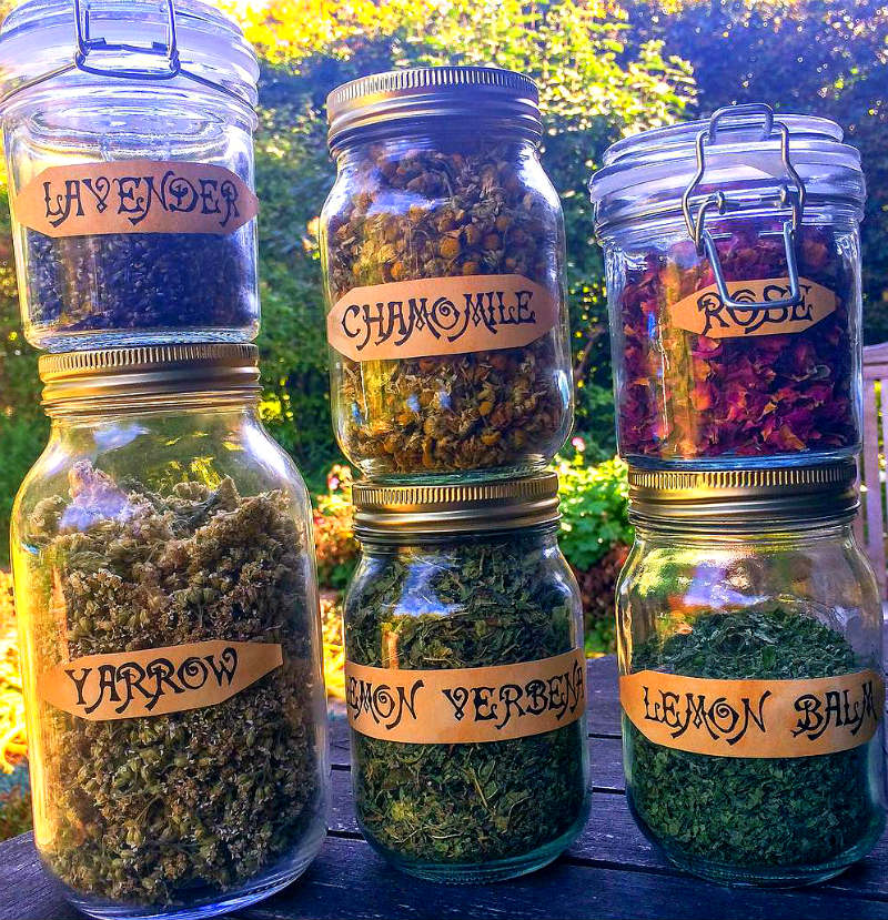 Вегетарианский бизнес — кафе