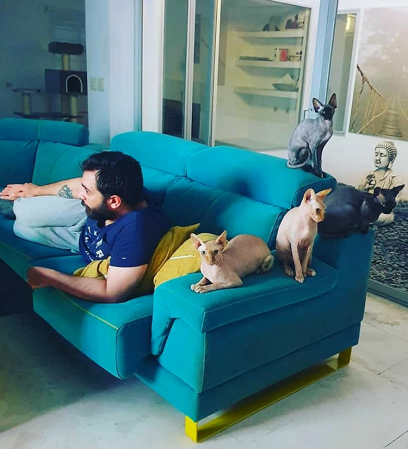 Вегетарианский бизнес и животные