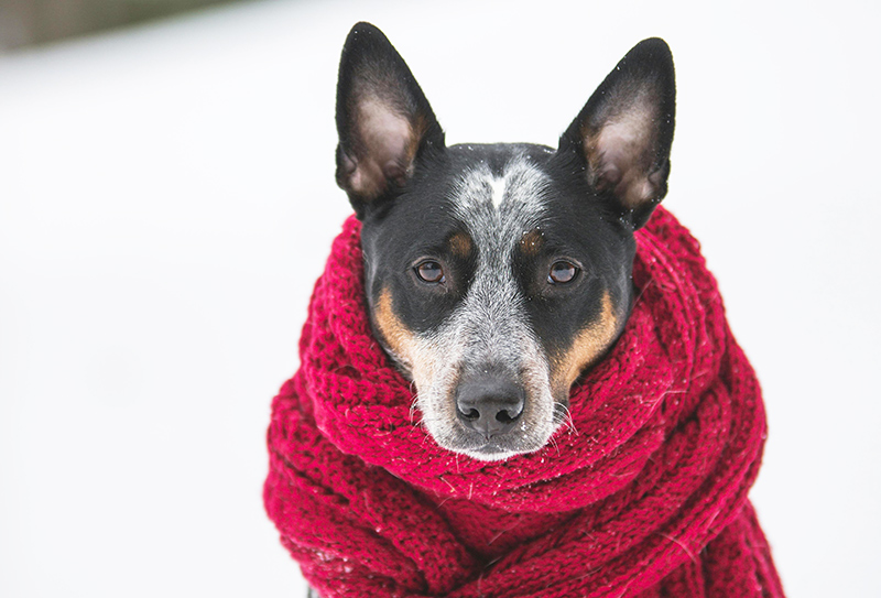 Вязаные элементы одежды
