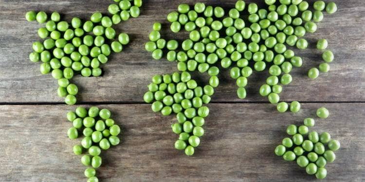 Континенты Земли