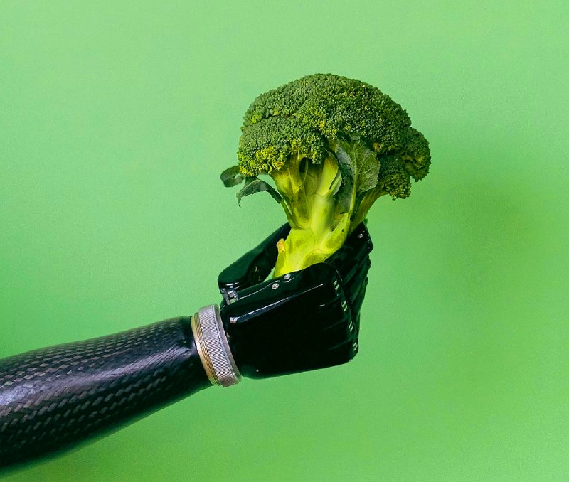 Зеленая еда