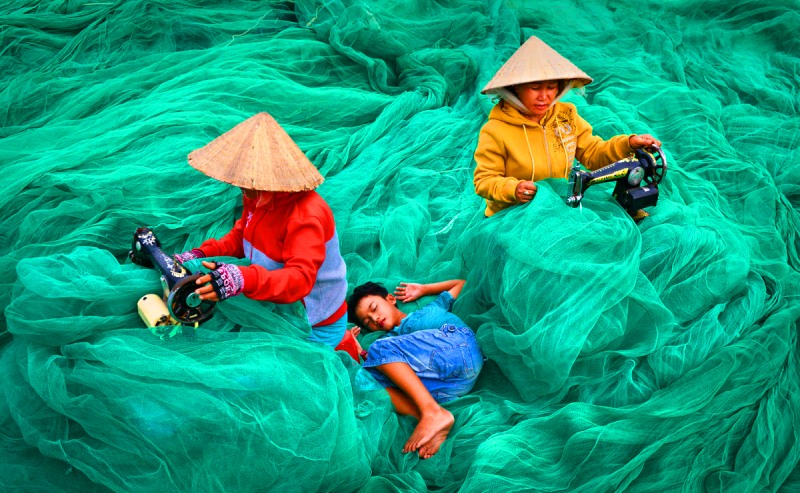 Зеленая мода тренд