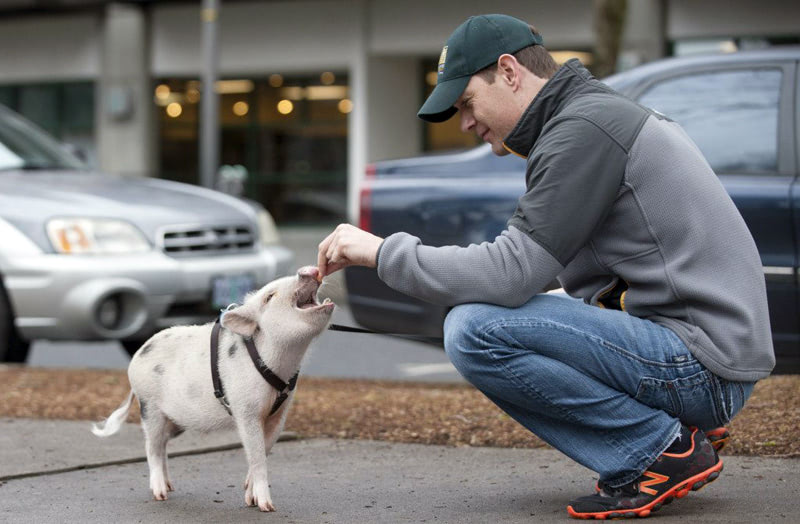 Дешевое жилье за границей