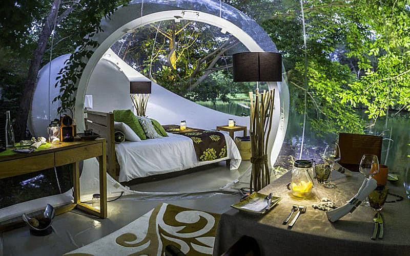 Зимовка в Азии на острове Маврикий