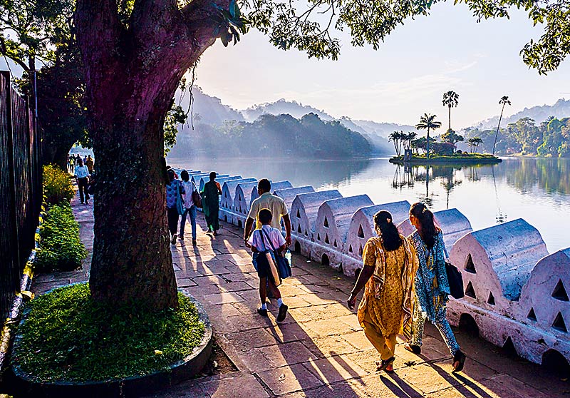 Зимовка в Азии, Шри Ланка