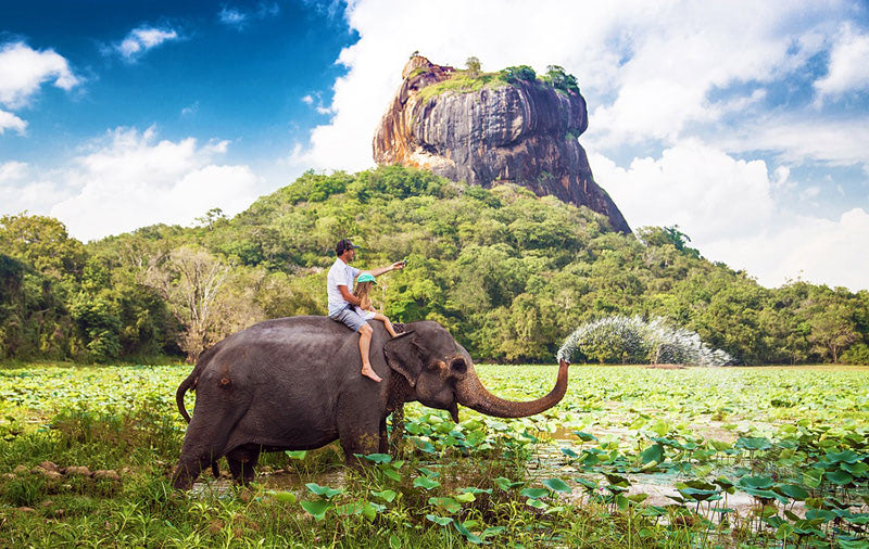 Зимовка в Шри Ланке, Азия