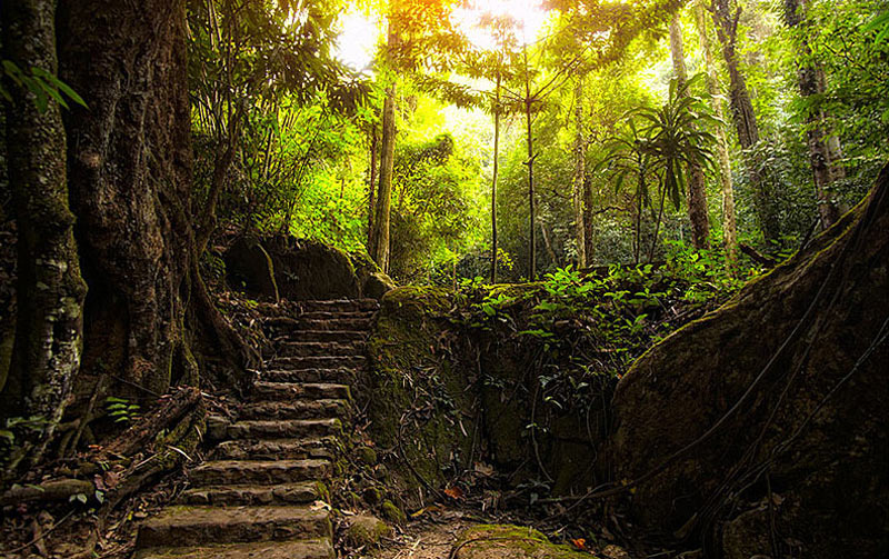 Азия, зимовка в Таиланде